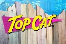 Top Cat Slot Review